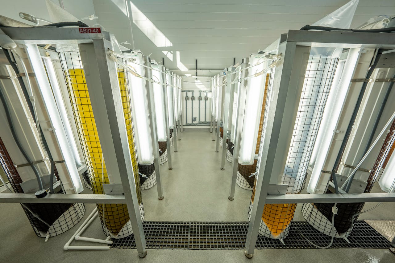 team-03 Industrial lab setup with tubular structures and containers illuminated by bright lights.